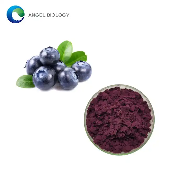 Blueberry Extract Powder